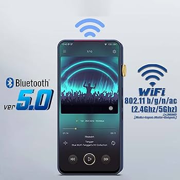 Amazon.co.jp: iBasso Audio (アイバッソ オーディオ) DX300 BK